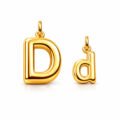 INITIALS PENDANT LETTER D & d